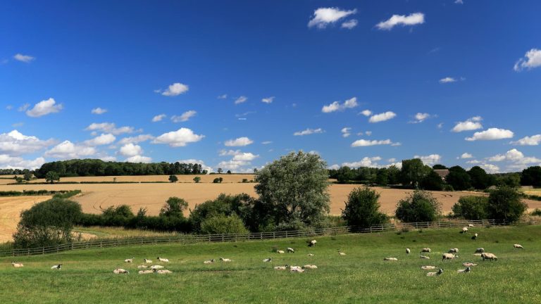 Rutland Countryside