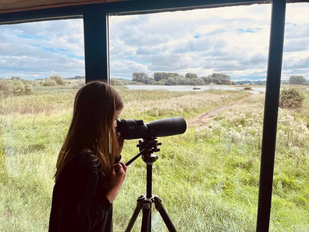 Birdwatching Egleton