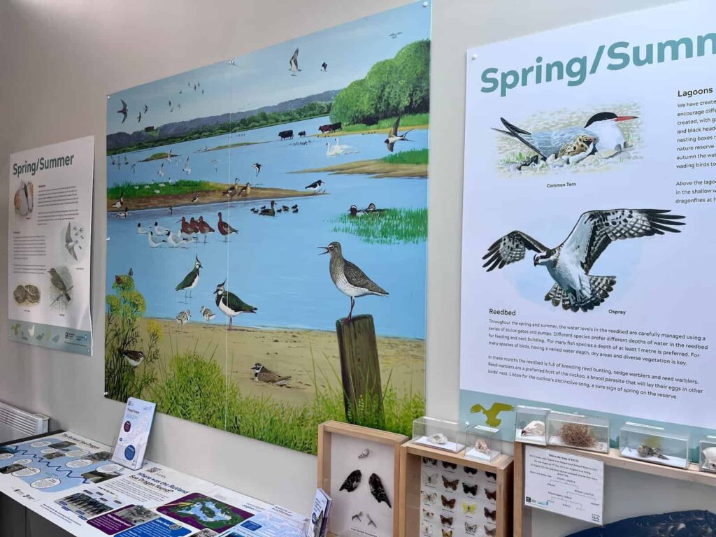 Egleton Birdwatching Centre